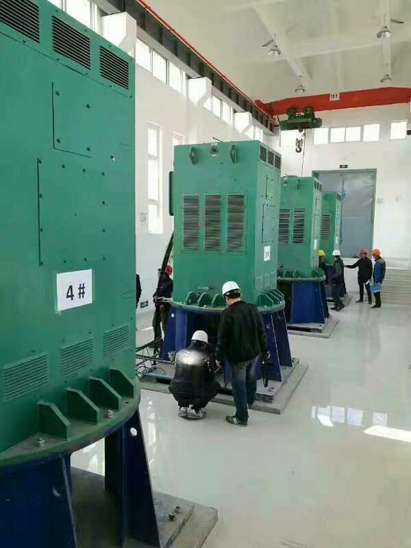 Y4504-4某污水处理厂使用我厂的立式高压电机安装现场